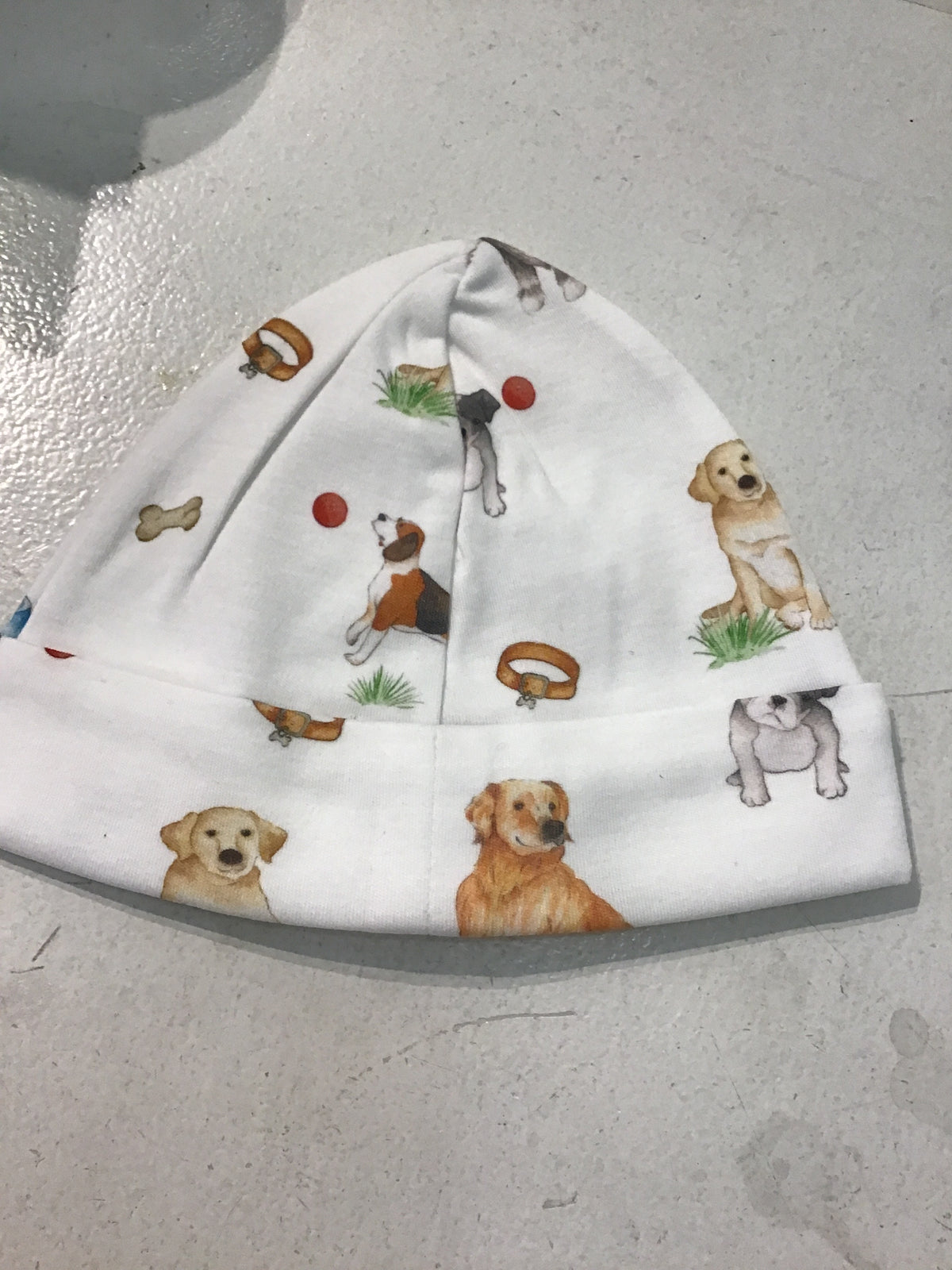 Best Friends Dog Hat